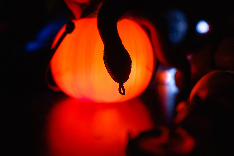 Украшение дома паутиной и летучими мышами к Хэллоуину в Kemerovo